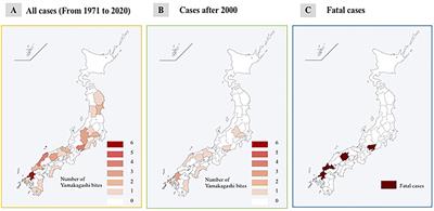 Rhabdophis tigrinus (Yamakagashi) Bites in Japan Over the Last 50 Years: A Retrospective Survey